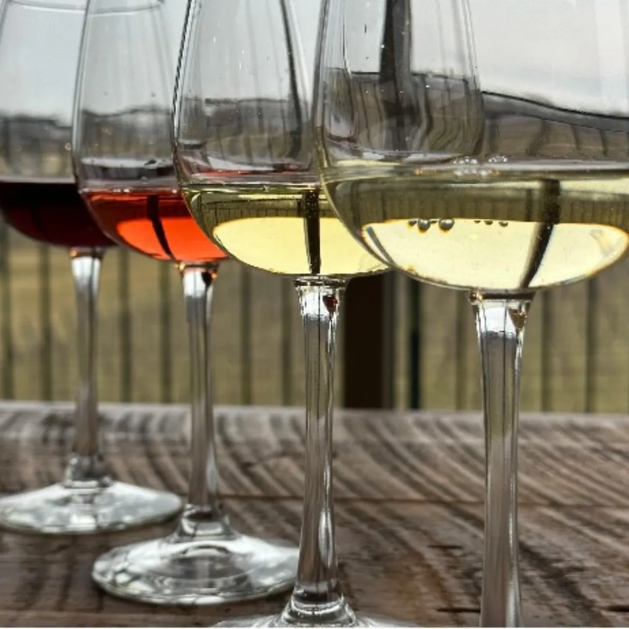 Vineyard Flight