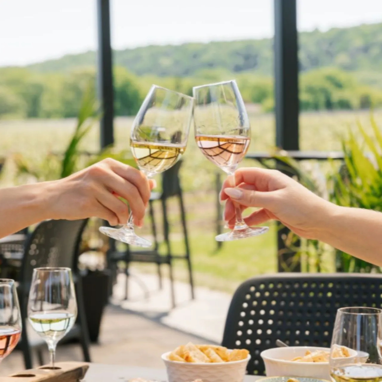 Live Music at the Vineyard